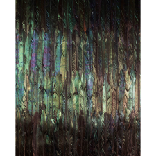 Komar vlies tapéta Dark Wings 200 cm x 250 cm tapéta, díszléc és más dekoráció