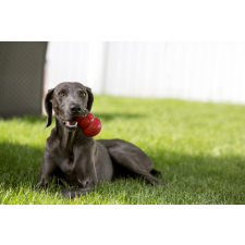 KONG Classic játék jutalomfalattal  tölthető  XS 5,7 cm kutyajáték jutalomfalat kutyáknak