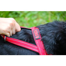 KONG Norvég kutyahám L piros  Kutya alap kötőfék hevederek nyakörv, póráz, hám kutyáknak