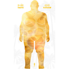 Könyv Guru Afrikai kaland regény