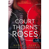 Könyvmolyképző A Court of Thorns and Roses – Tüskék és rózsák udvara
