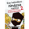 Könyvmolyképző Kiadó Kalóztámadás - Egy hatodikos nindzsa naplója 2.