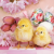 KORREKT WEB Húsvét Lovely Chickens szalvéta 20 db-os 33x33 cm
