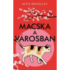 Kossuth Macska a városban