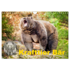  Krafttier Bär (Wandkalender 2026 DIN A4 quer), CALVENDO Monatskalender (Naptár/Határidőnapló) naptár, kalendárium