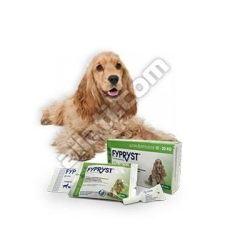Krka Fypryst 1,34 ml (10-20kg) kutya 1 pipetta élősködő elleni készítmény kutyáknak