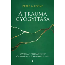 Kulcslyuk A trauma gyógyítása egyéb e-könyv