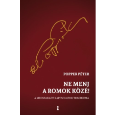 Kulcslyuk Kiadó Ne menj a romok közé! életmód, egészség
