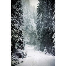 KulPress Vinyl háttér fotózáshoz. Téli fotó háttér 150X210 cm XJ-0015 háttérkarton