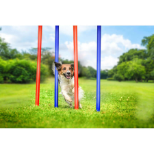  Kutya akadály (szlalom) 7db-o szett táskával Pet Toys  474342 (XEH25247434) játék kutyáknak