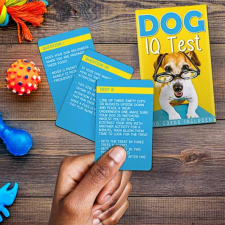 Kutya IQ teszt kártyacsomag (angol) kártyajáték