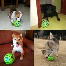  Kutyajáték, kutyalabda játék kutyáknak