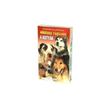  Kutyák kvartett kártya kártyajáték