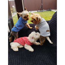  Kutyaruha - Csíkos stílusos kutyatrikó - többféle színben - L - szürke kutyaruha