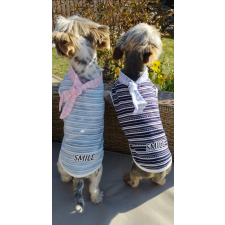  Kutyaruha - Cuki könnyed divatos ing kendővel extra stílusért - kétféle színben - M - világoskék kutyaruha