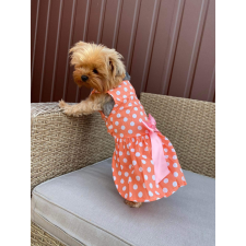  Kutyaruha - Dívatos és könnyű ruha barack színben fehér pöttyökkel és masnival - L kutyaruha