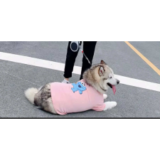  Kutyaruha - Elmo mintás póló - 6XL kutyaruha