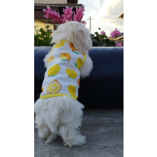  Kutyaruha - Fehér pamut trikó citrom mintával - L kutyaruha