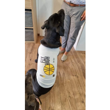  Kutyaruha - Fly High Feliratos, kosárlabdás mintával, cuki trikó - tökéletes nagy kutyáknak - 5XL kutyaruha