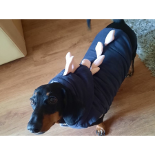  Kutyaruha - kutyakabát - kutyamellény - Dínós, bélelt, kapucnis, - többféle színben - L - piros kutyaruha