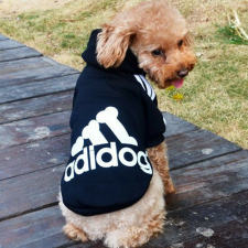  Kutyaruha - Kutyapulóver - Kutyapulcsi - Adidog Kapucnis pulcsi - Többféle színben - 2XL - világoskék kutyaruha