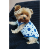  Kutyaruha - Nyári, kék/fehér pöttyös kutyatrikó, csipkés anyaggal - L