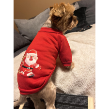  Kutyaruha - Piros Karácsonyi Pulcsi - M kutyaruha