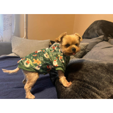  Kutyaruha - Puha Karácsonyi Pulóver - M - piros kutyaruha