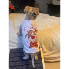  Kutyaruha - Rászarvas karácsony - S kutyaruha