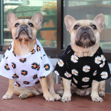  Kutyaruha - Rövidujjú, virágmintás kutyapóló - kétféle színben - L - fekete kutyaruha