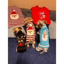  Kutyaruha - S-5XL Tèli meleg pulcsik - M - fekete kutyaruha