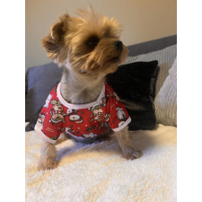  Kutyaruha - Télapó mintás karácsonyi vékony pulcsi - S kutyaruha