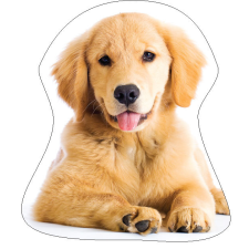 Kutyás Golden Retriver formapárna, díszpárna lakástextília