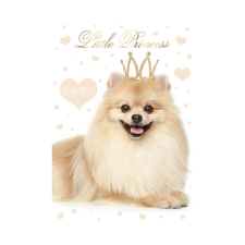 Kutyás Little Princess A/4 gumis mappa mappa