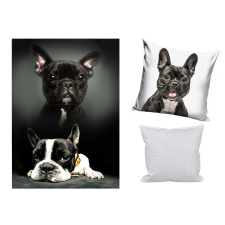 Kutyás polár takaró, párnahuzat és párna szett 3 db-os (Bulldog Moments) lakástextília