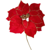  Kvet MagicHome Vianoce, Poinssetia, červená, stonka, veľkosť kvetu: 35 cm