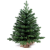 LAALU karácsonyfa cserépben - Bernard fenyő, 75 cm
