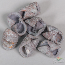  Lali szárított havas szürke 22dkg/csom dekorációs kellék