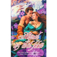 Lap-ICS Könyvkiadó Hajnal az öböl felett antikvárium - használt könyv