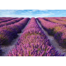  Lavender2 öntapadós és mosható fali tapéta, 250 x 150 cm tapéta, díszléc és más dekoráció