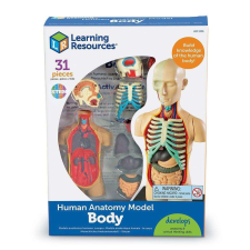 Learning Resources Az emberi test modellje oktatójáték