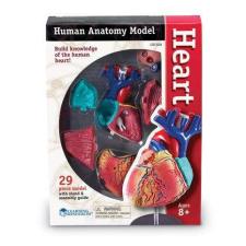 Learning Resources Emberi test - Szív - 29 részes modell - Oktató készlet oktatójáték