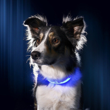  LED kutya nyakörv világító kutyanyakörv kék L nyakörv, póráz, hám kutyáknak