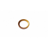 LED Labs Ring for the ceiling fixture LOFT