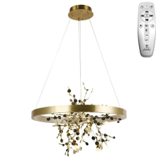  LED világítás + vezérlés 40W - J5307/C világítás