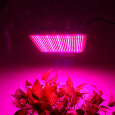 LEDLAMP 800W Növénylámpa Üvegház világítás növénynevelő LED fény extra UV és IR leddel kültéri világítás