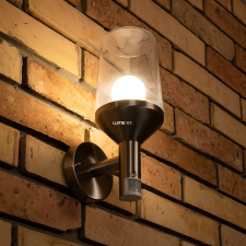 Ledvance Gmbh Ledvance kültéri falikar fény és mozgásérzékelővel, ezüst (Endura Classic Calice Wall) kültéri világítás