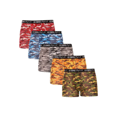 Lee Cooper 5PACK többszínű Lee Cooper férfi boxeralsó (LCU3200700D-1763075) M