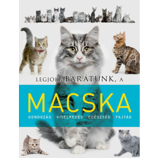  Legjobb barátunk a macska gyermek- és ifjúsági könyv