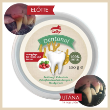 Leiky Dentanol 100% természetes fogkő, fogínygyulladás és szájszag elleni por 100g vitamin, táplálékkiegészítő kutyáknak